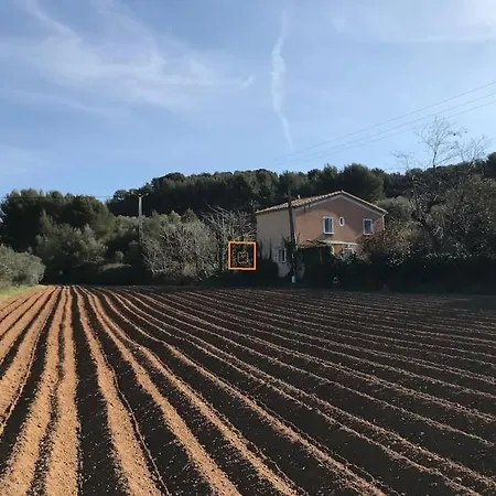 Villa Charmante Bastide Au Calme, Proche De La Mer.